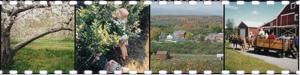 Hicks Orchard 2_collage.jpg