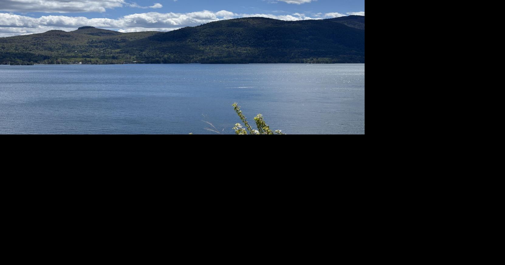 Water Safety Advisory issued after potentially rabid beaver bites two on Lake George