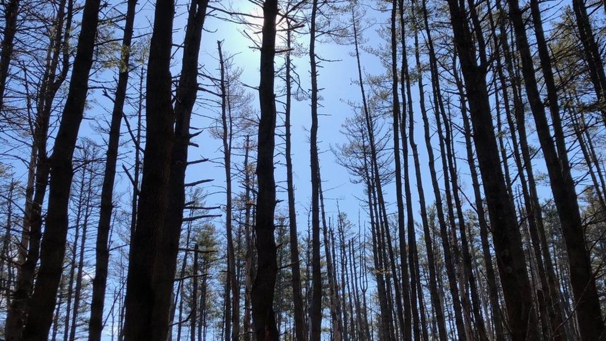 Blog Now Is A Great Time To Get Outside Adirondack Outdoors Poststar Com