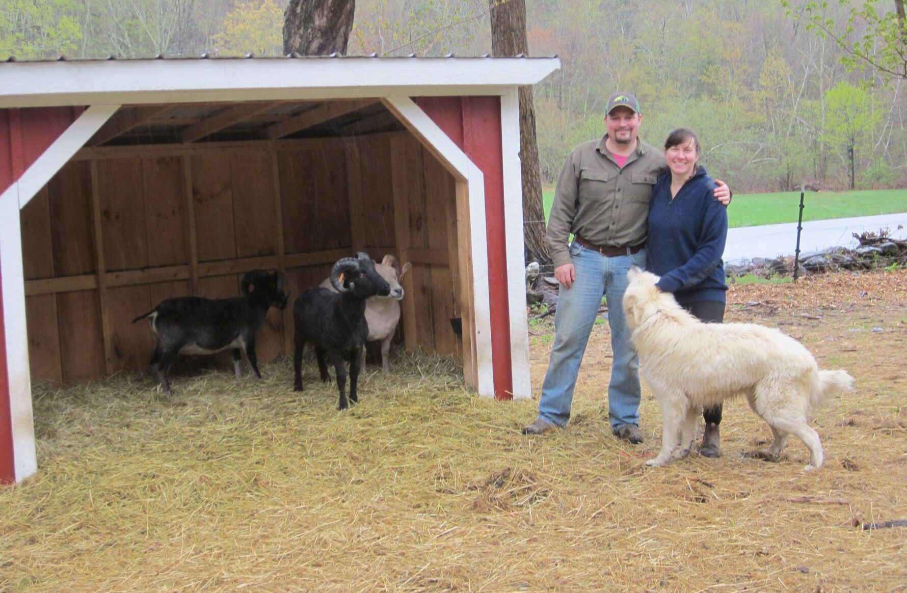 Fun With Wool At Washington County Fiber Tour