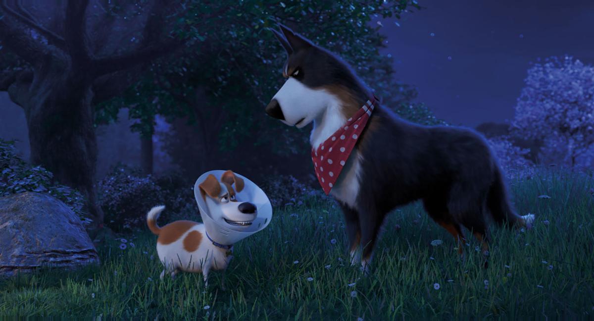 Secret Life of Pets 2' adds babies and toddlers to lovable animal mix