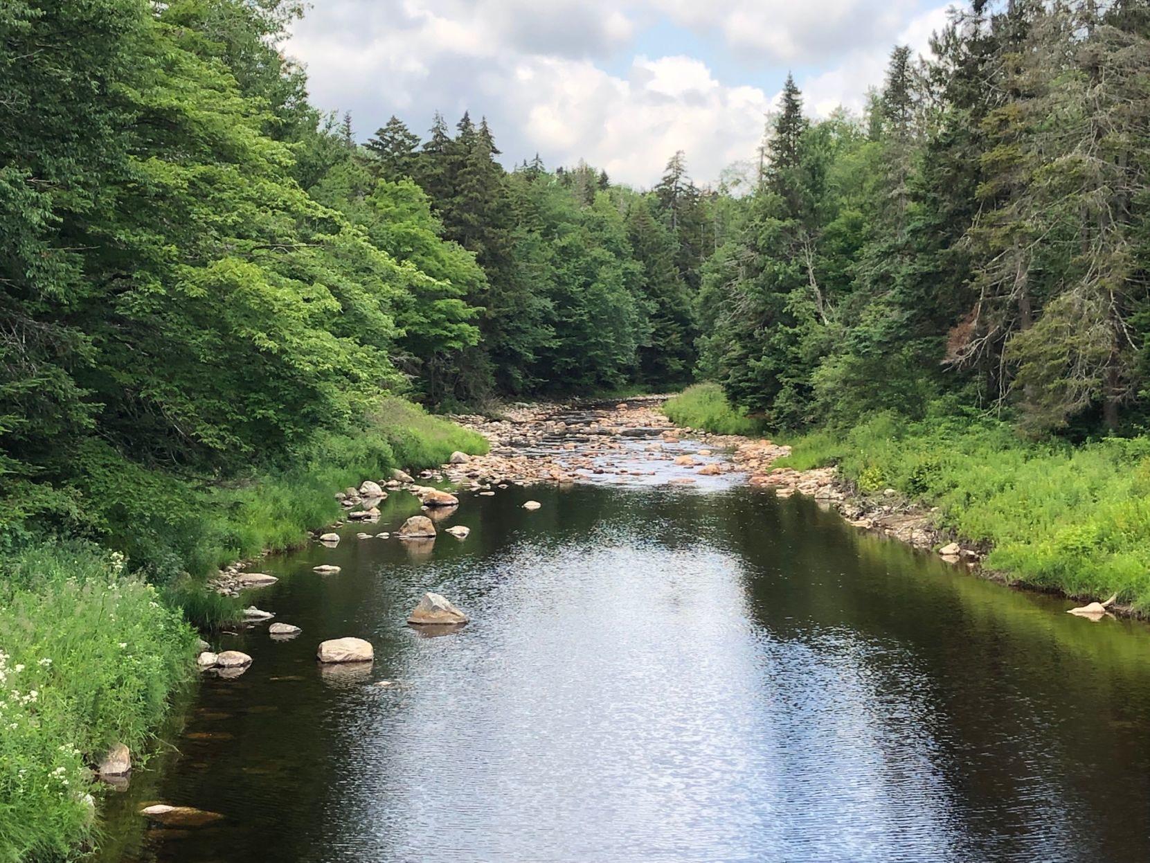 Blog Fishing Vermont S Reservoirs Adirondack Outdoors Poststar Com