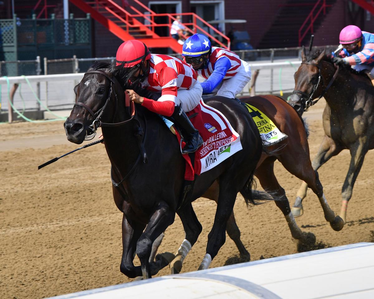 Serengeti Empress Finds Her Comfort Zone Saratoga Race Course Coverage Poststar Com