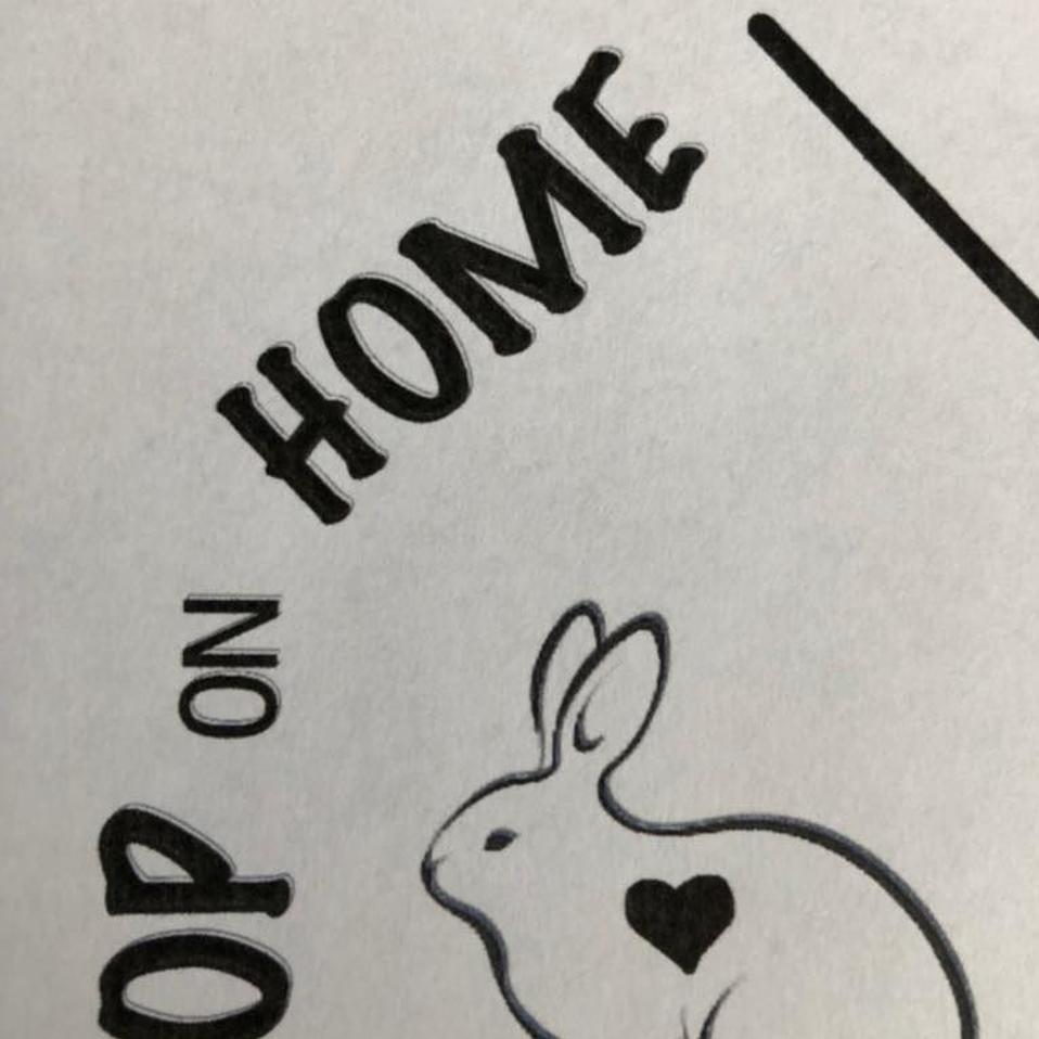 hopping on rabbit sanctuary
