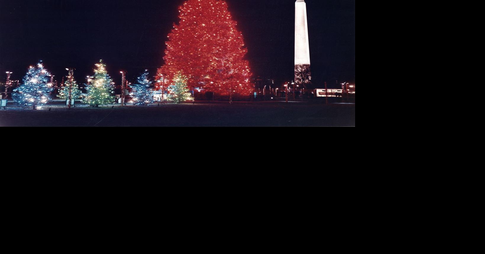 LOCAL HISTORY 50 years ago, local tree picked as symbol of peace for