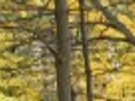 Christine Bolton Obituary Keeping Memories Alive Lifestyles Poststar Com