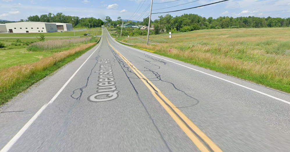 Queensbury moose on the move, says DEC