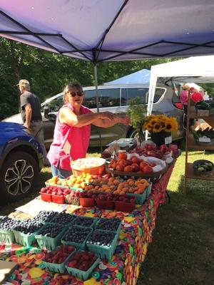 Fifth Annual Blueberry Festival comes to Warrensburg