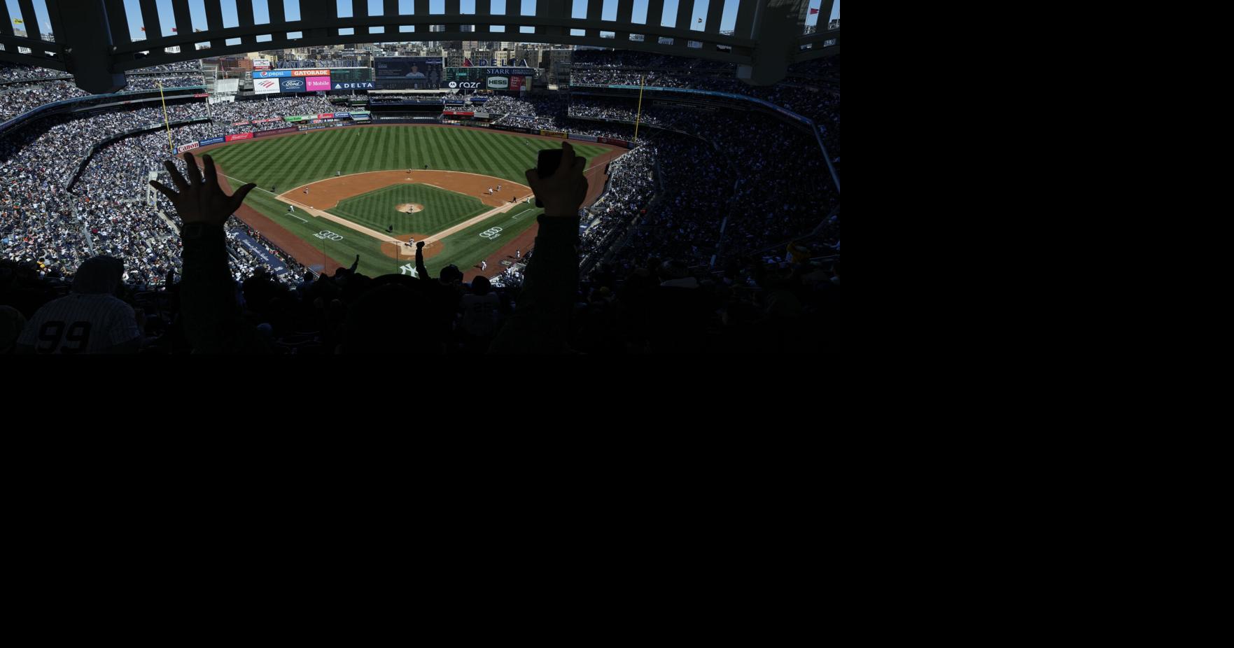 Yankee StadiumDominican League Baseball