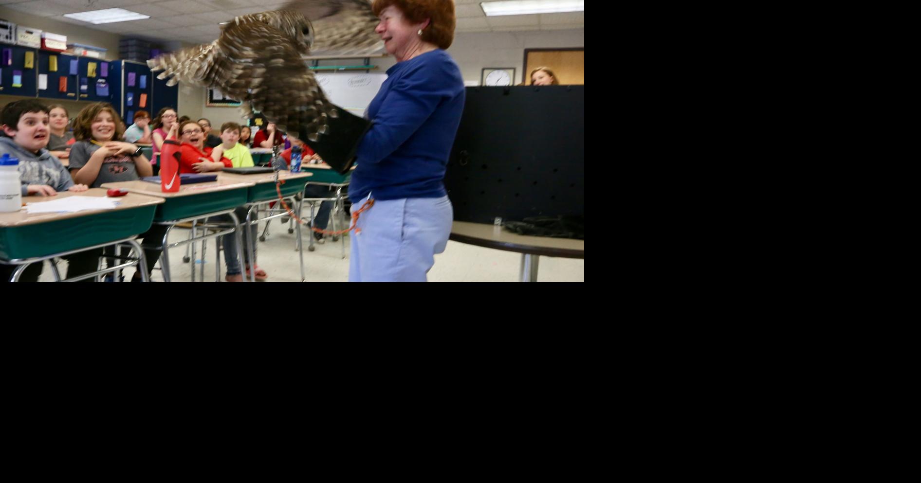 Photos Owl presentation at Glens Falls Middle School