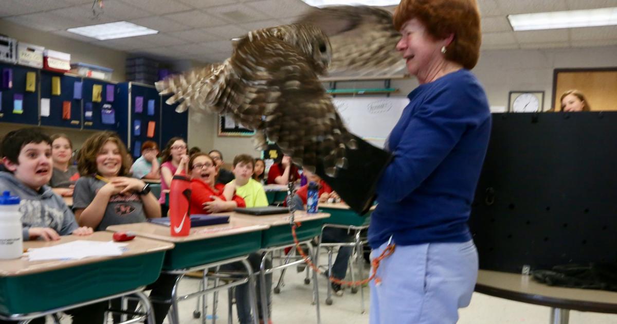 Photos Owl presentation at Glens Falls Middle School