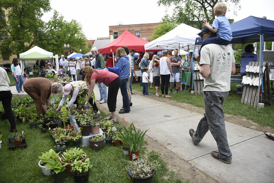 Food and Farm Festival