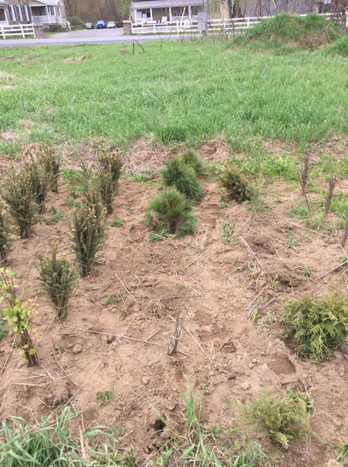 Warren County Soil and Water Conservation District