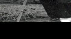 Dr. Harold D. Poster