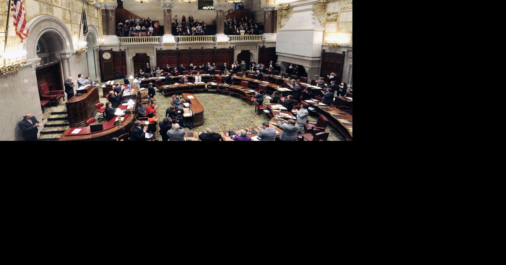 Political Notebook: Democratic primary shapes up in 46th Senate District