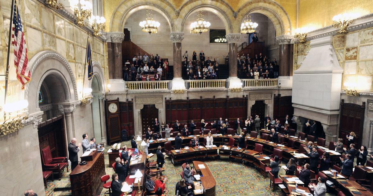 Senate Shape Political Notebook: Democratic primary shapes up in 46th Senate District