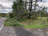 Salem storm damage