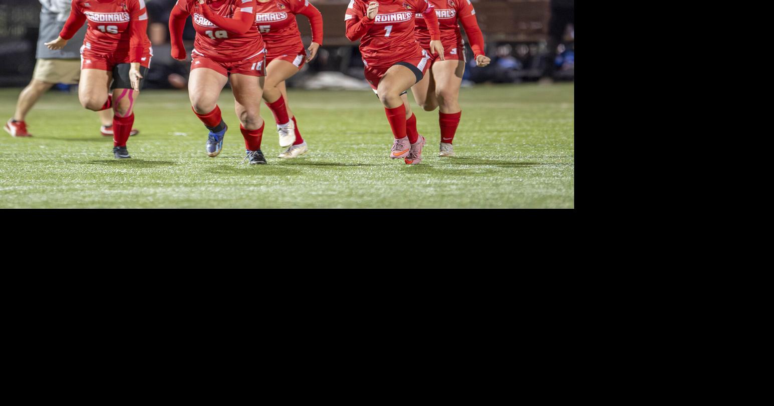 Experienced Fort Ann Cardinals ready for state girls soccer final four