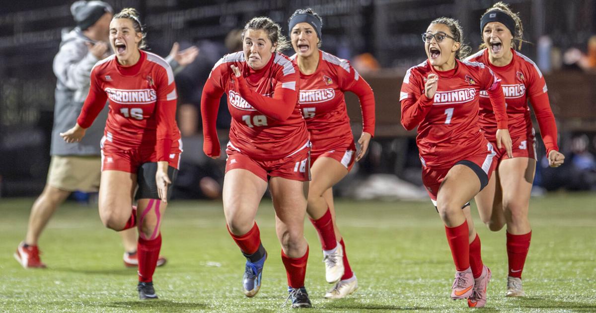 Experienced Fort Ann Cardinals ready for state girls soccer final four
