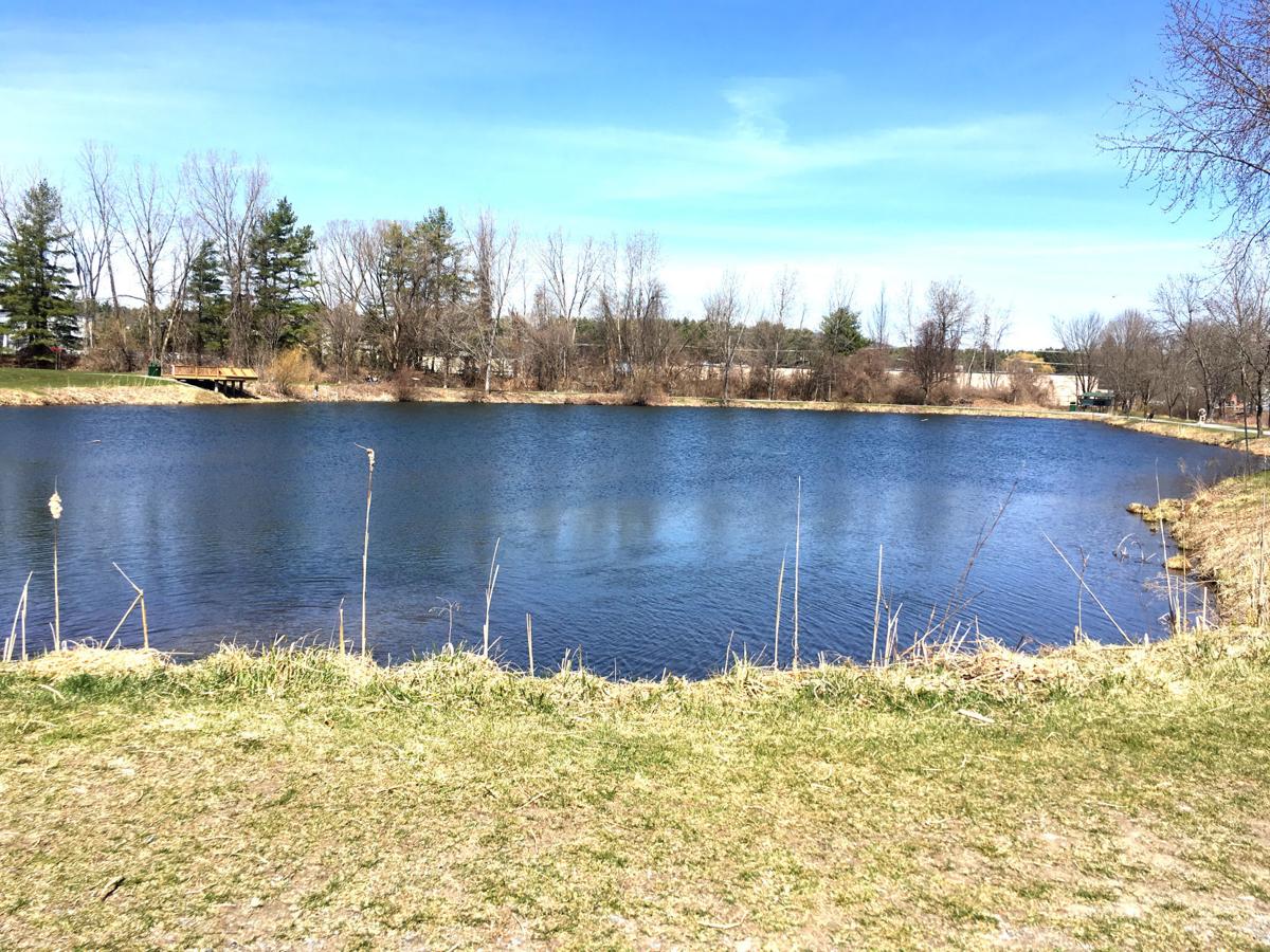 Hovey Pond Park