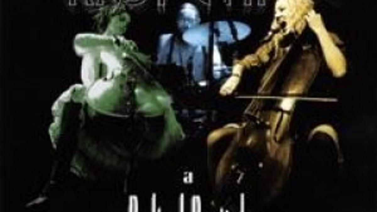 Download Some Hard Rockin Cello Hipster Vault Poststar Com For Free Get Wallpaper Some Hard Rockin Cello Hipster Vault Poststar Com Free