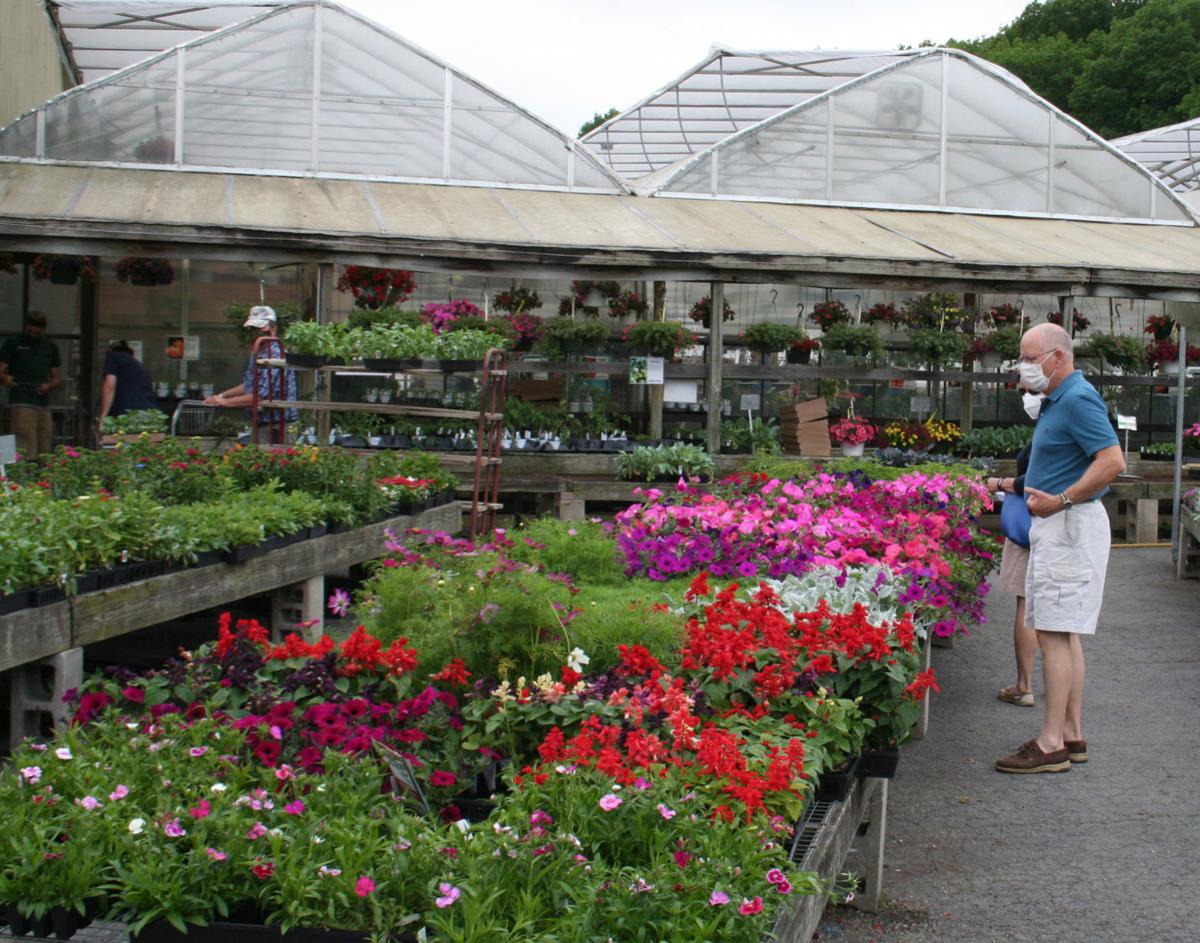 Everyone Is Going To The Garden Centers Local Poststar Com