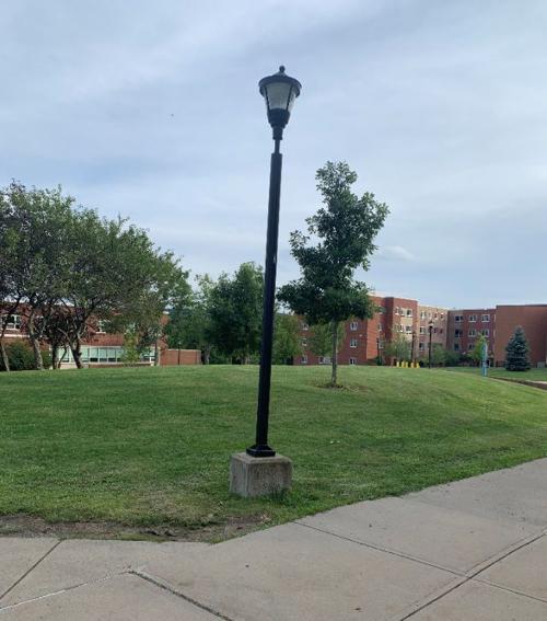 Suny Oneonta Poststar Com