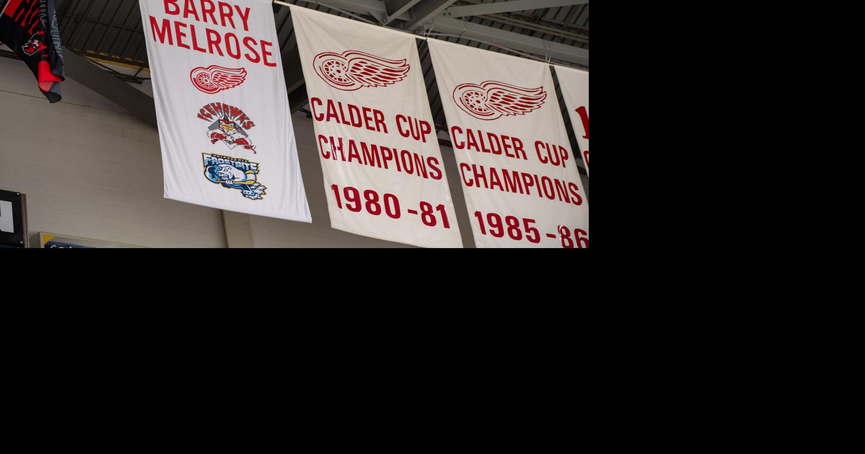 Melrose banner.jpg
