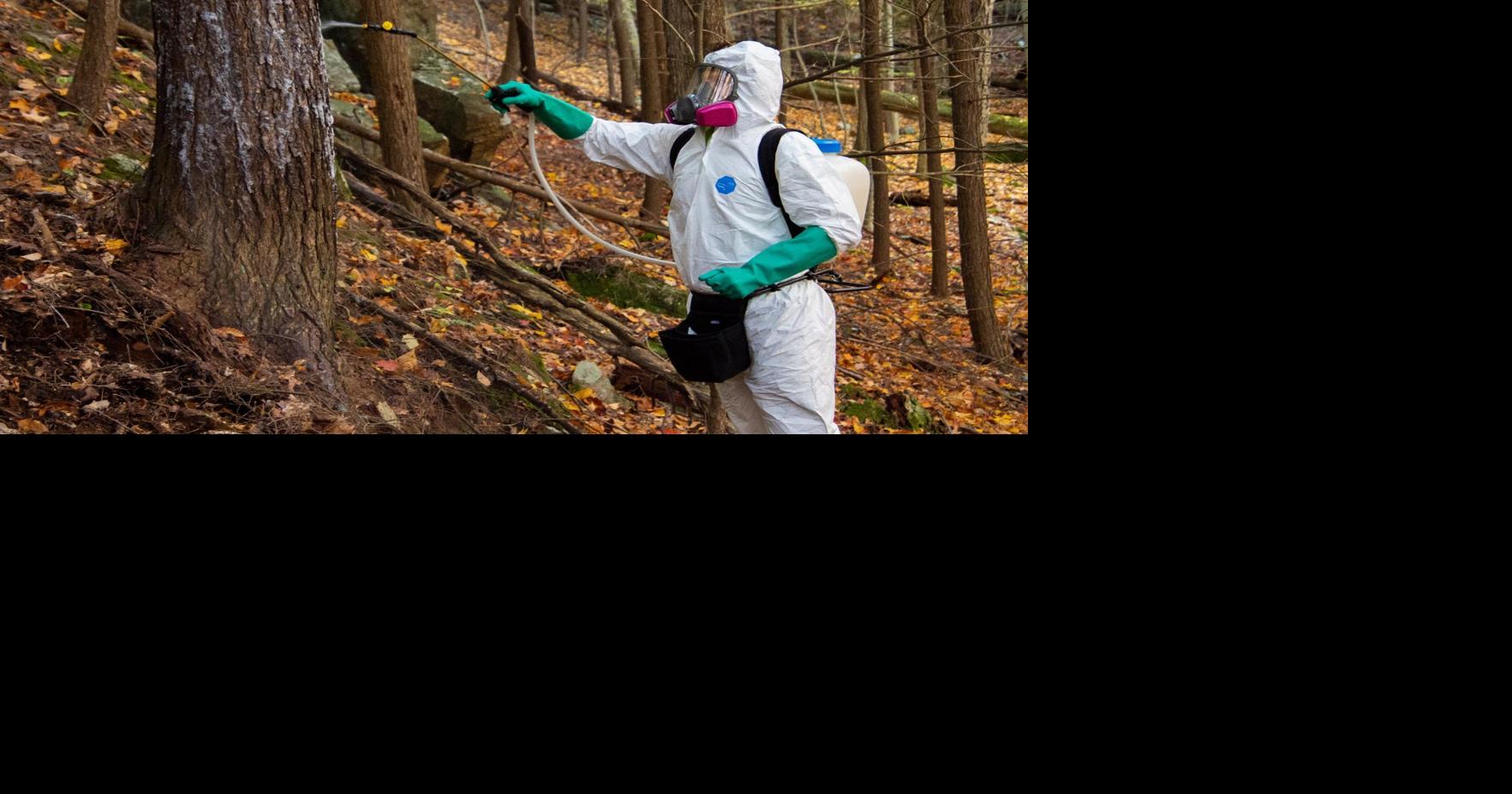 DEC awards $5.1M for invasive species projects Lake George