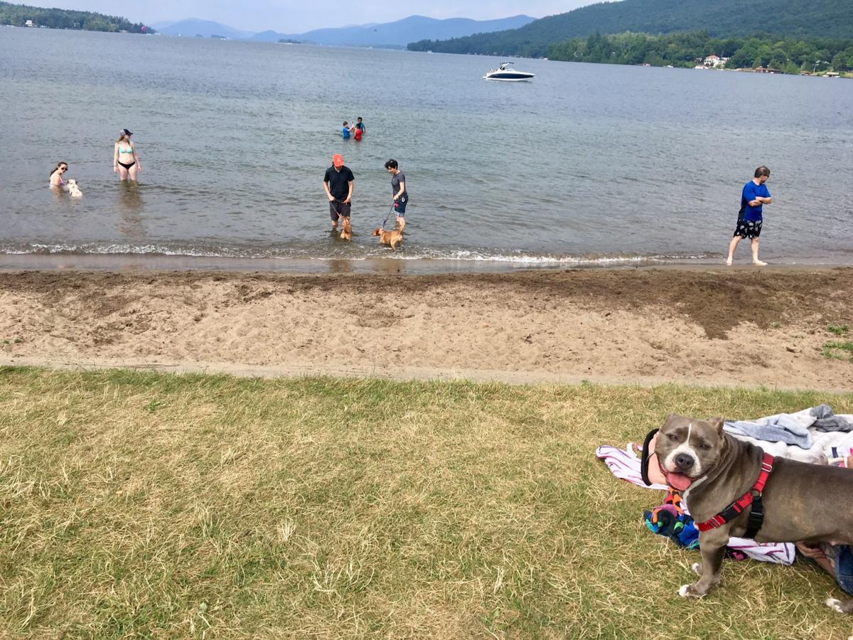 Lake George looks to take over 'Dog Beach'