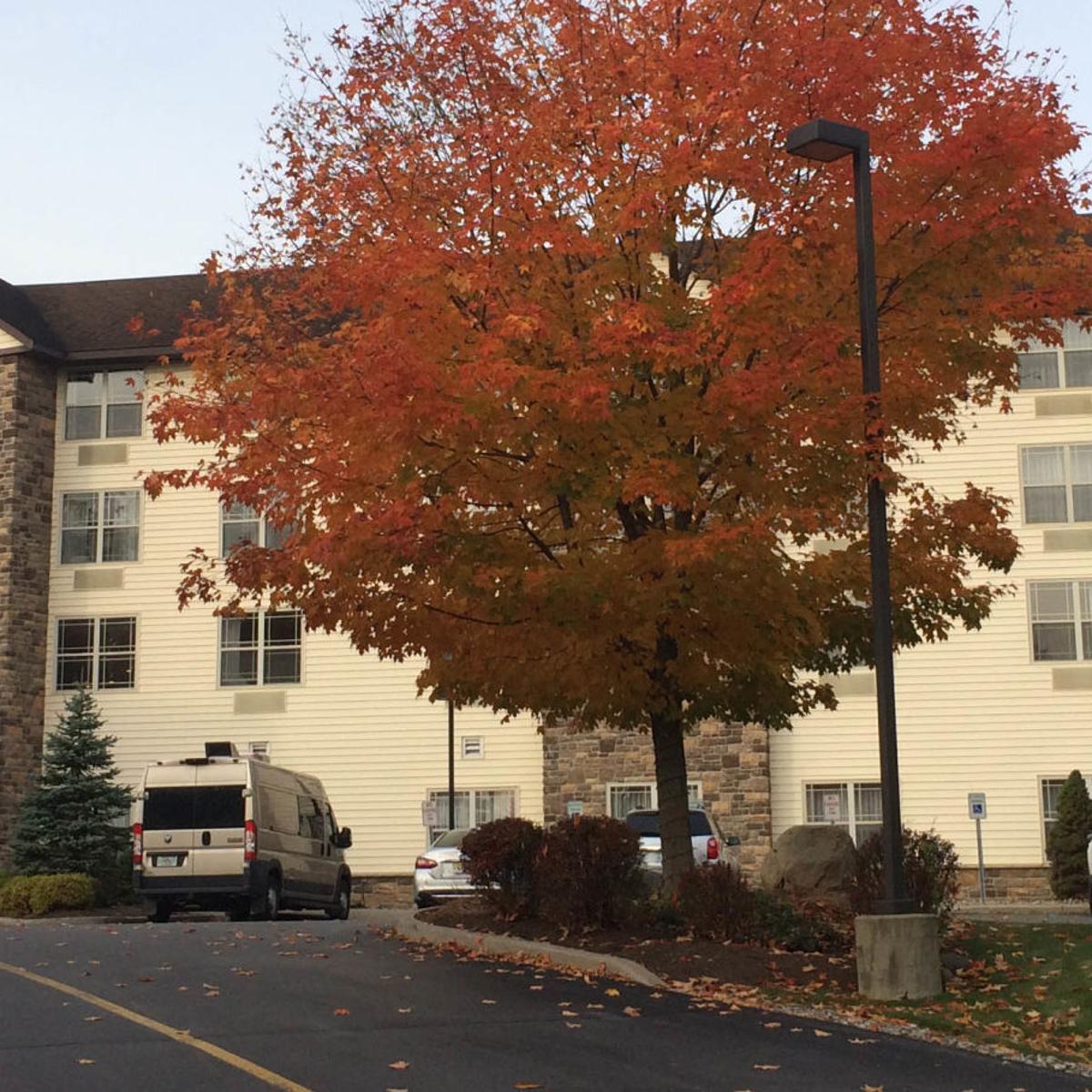 Comfort Suites Hotel Near Outlets In Queensbury To Close Monday