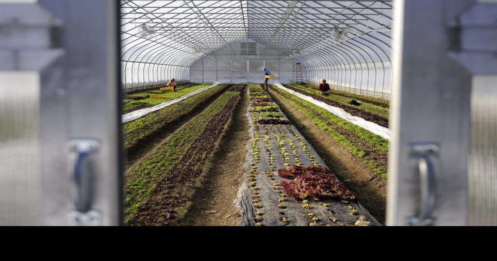 Reviewing the state of jobs in Washington County