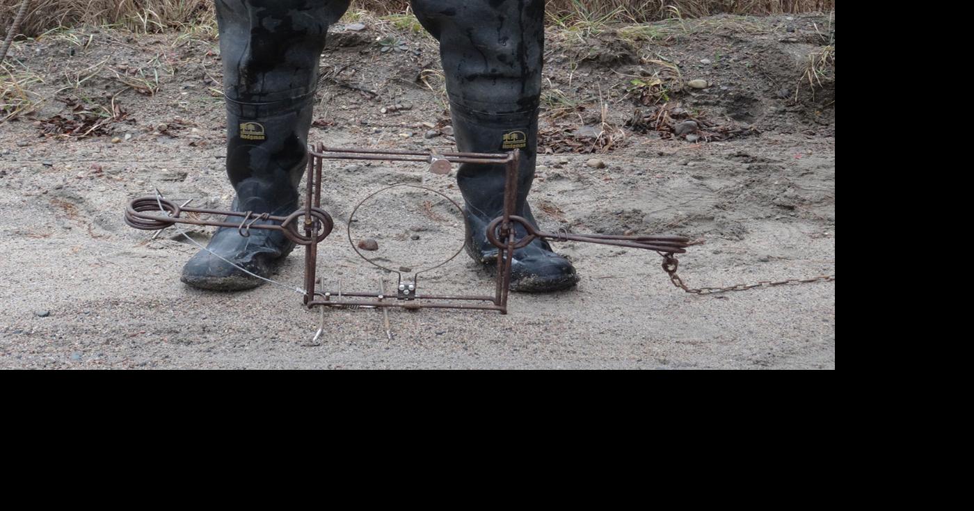 With the cold, fall brings traps to Adirondack forest