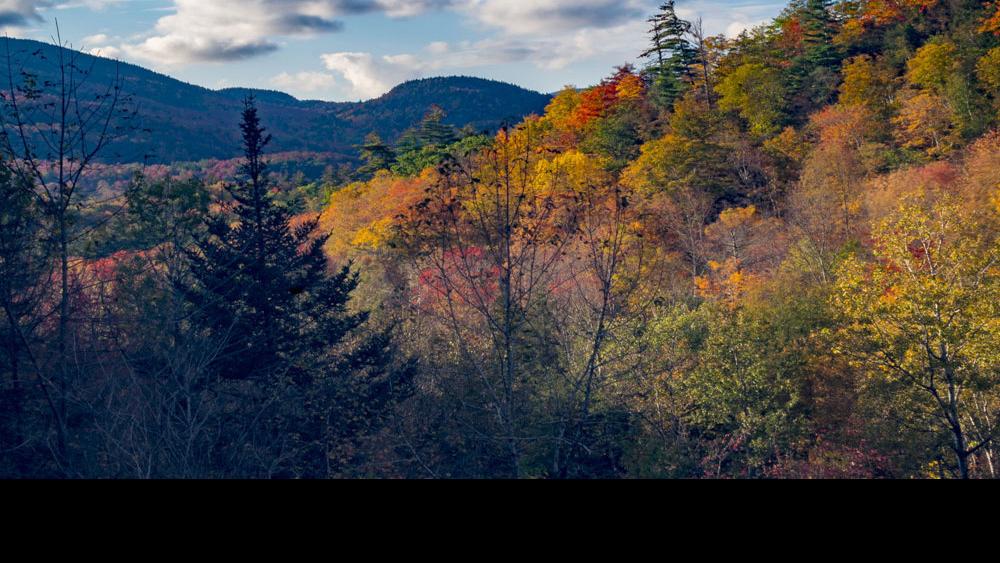 Dull weather, bright colors in Adirondacks Local