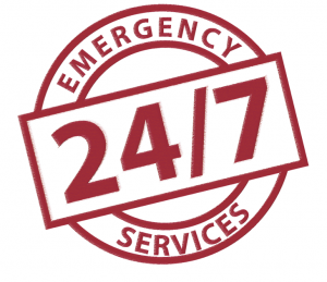 emergency-services-300x259.png