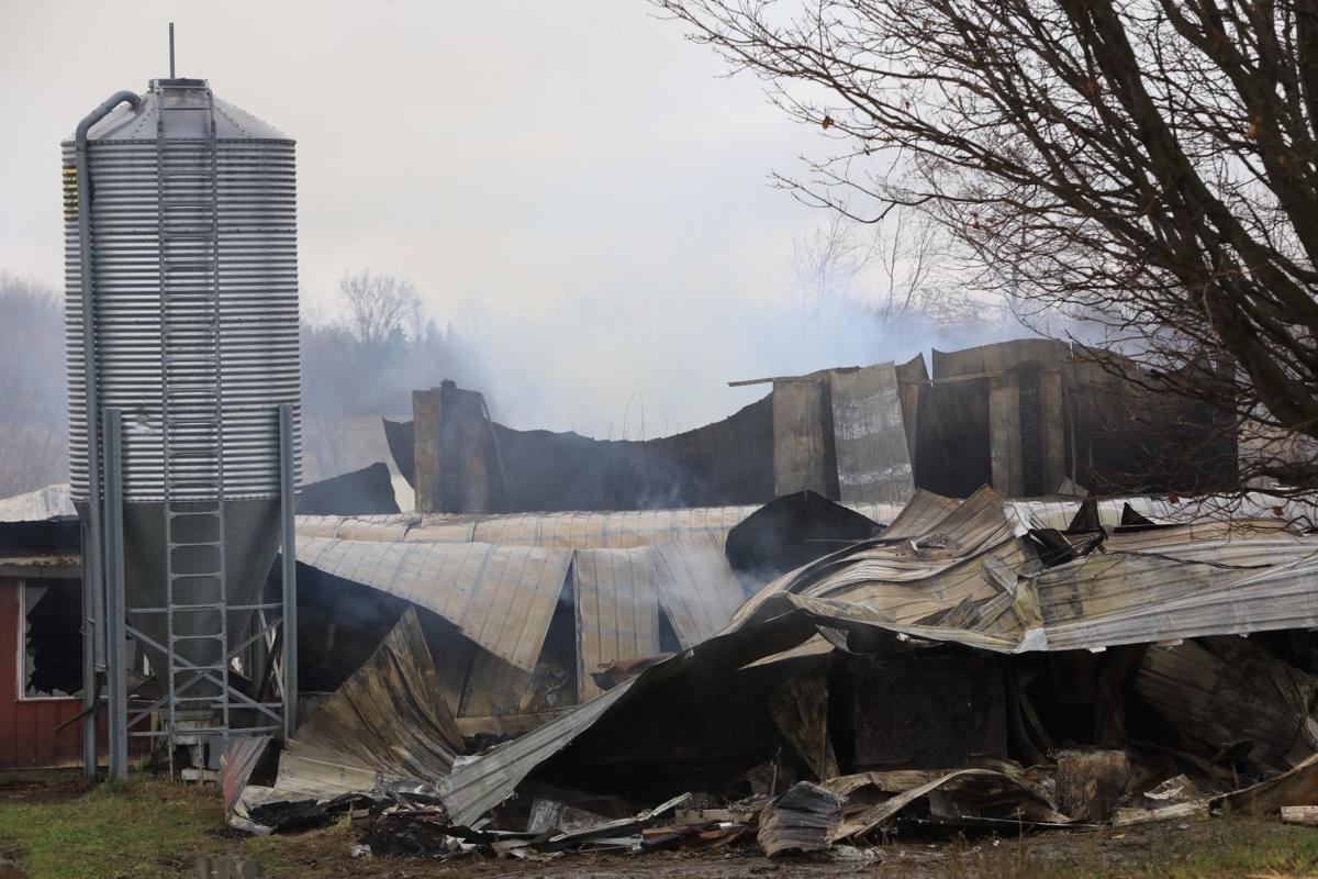 More Than 100 Cows Die In Early Morning Fire State And Regional
