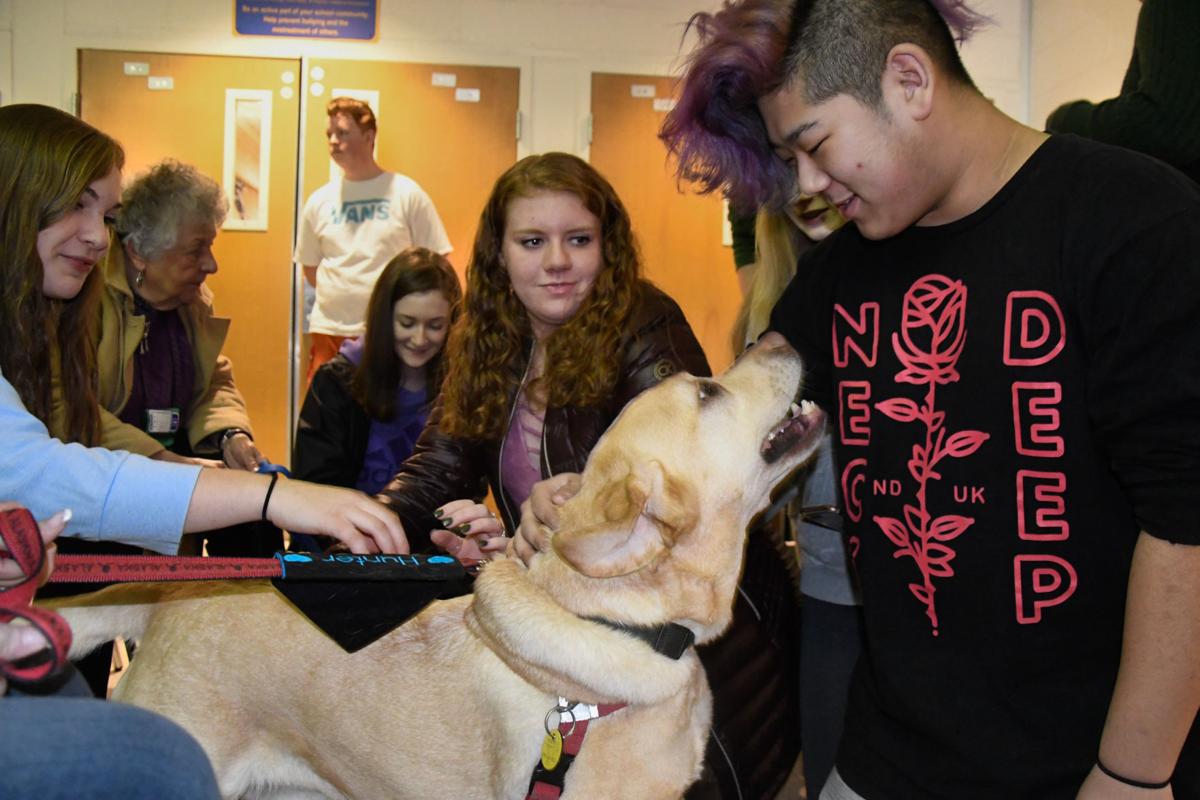 Therapy Dogs Lend A Paw At School S Stress Fair Local Poststar Com