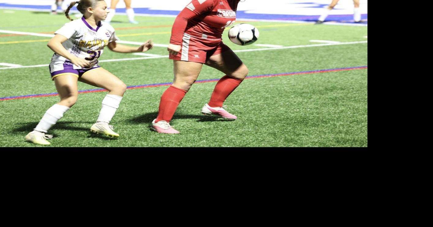 Fort Ann girls soccer sets up rematch with Northville with Section II Class D semifinal win