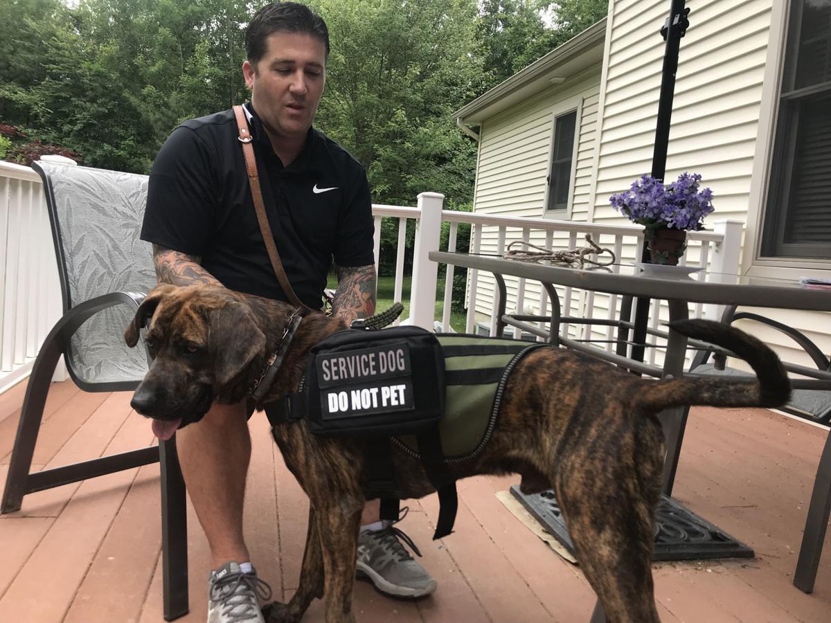Hometown Column Service Dog Calms Veteran With Ptsd Symptoms Hometown With Gretta Hochsprung Poststar Com