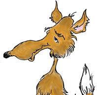 Don Coyote