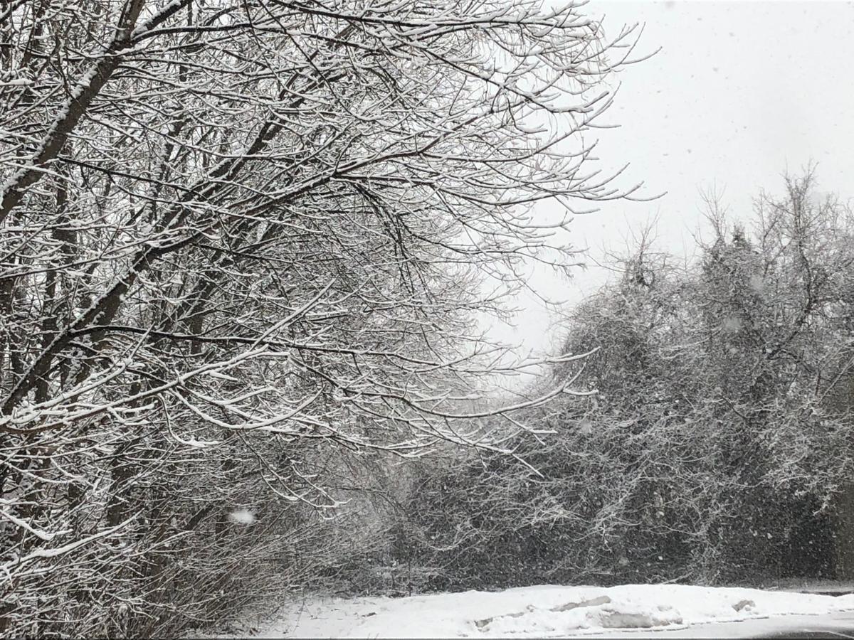 Winter Weather Advisory Issued For Parts Of Region Local
