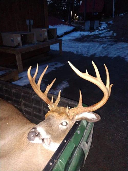 Warren County buck