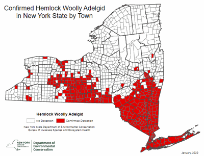 Map of confirmed hemlock woolly adelgid sites