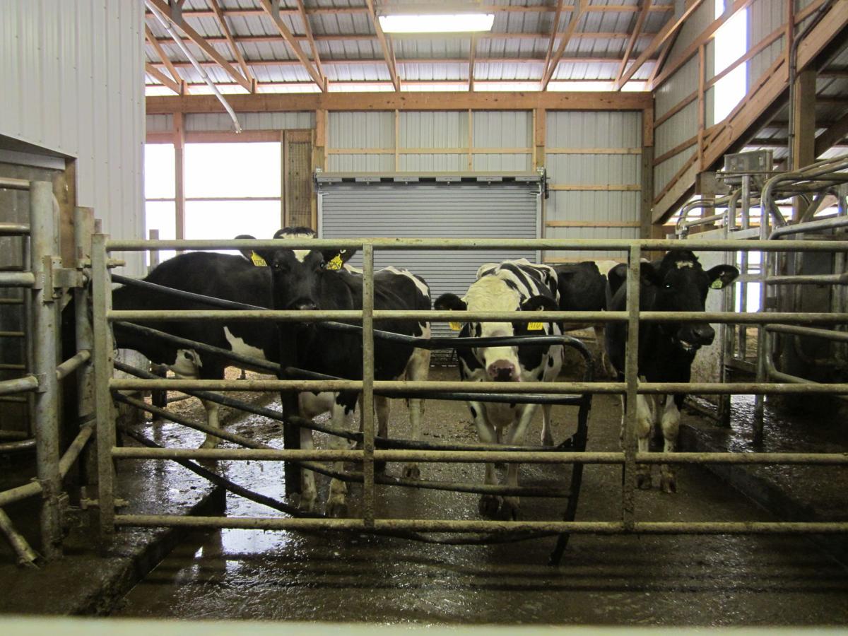 OUTLOOK Organic farming offers challenges, rewards Business