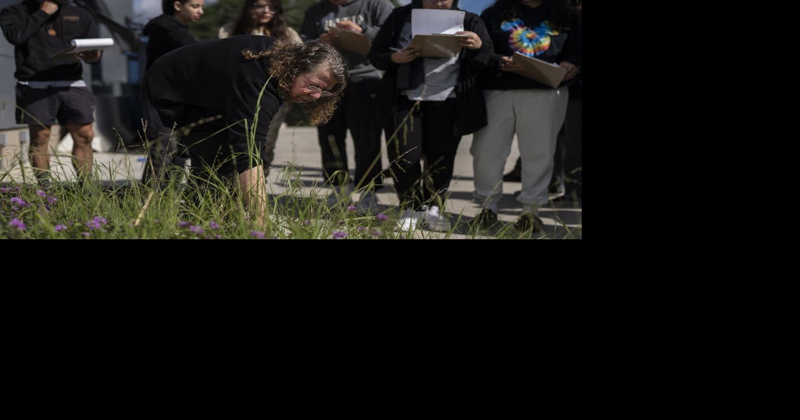 Community colleges training workers for climaterelated jobs