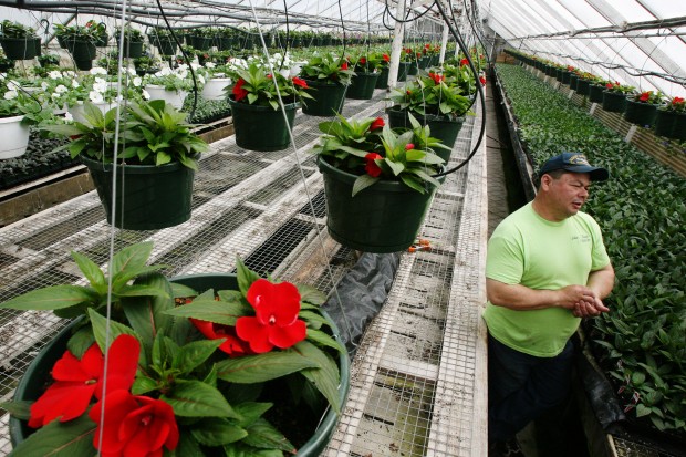 Racecourse Economic Contribution