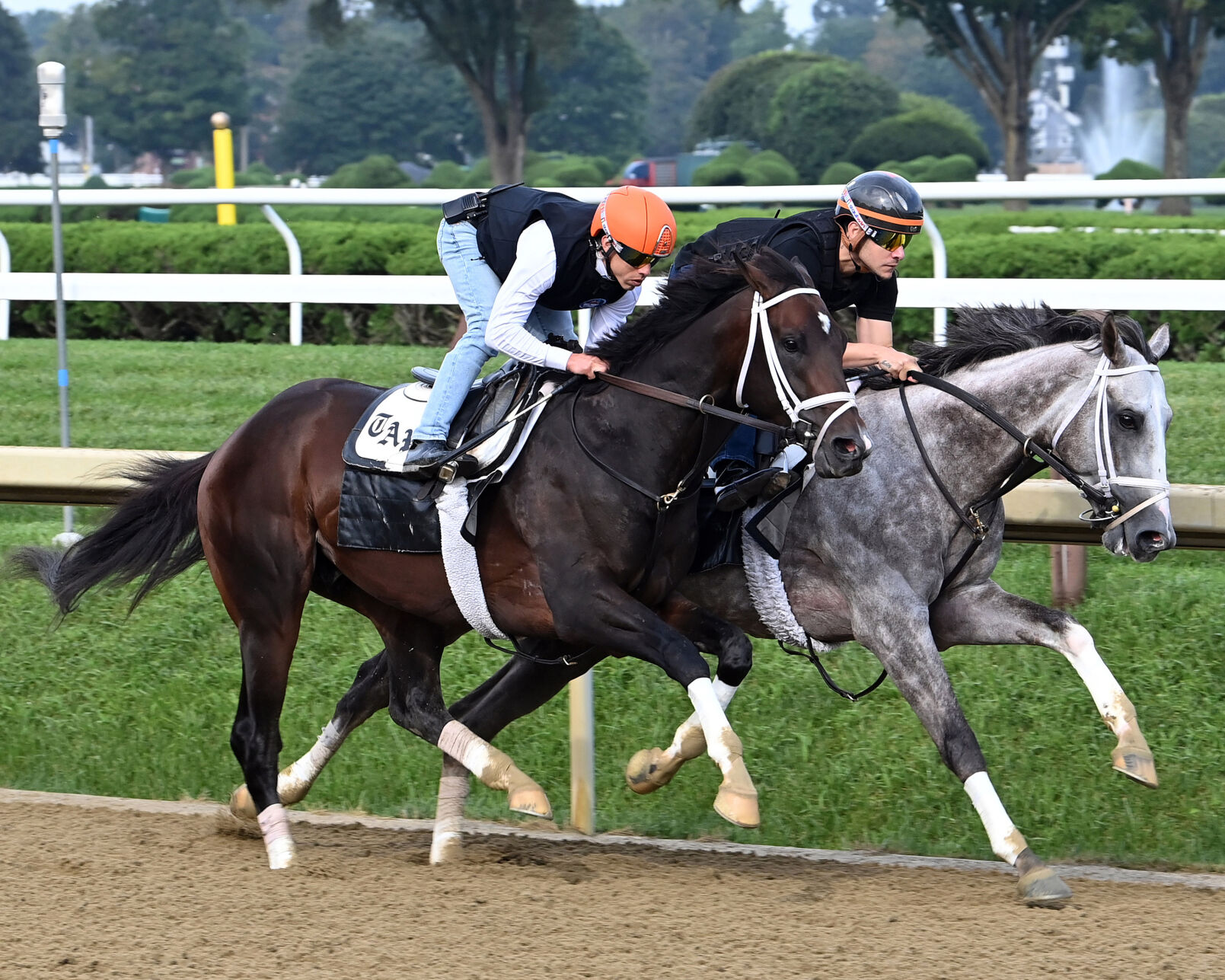 Forte favored in blockbuster Travers Stakes