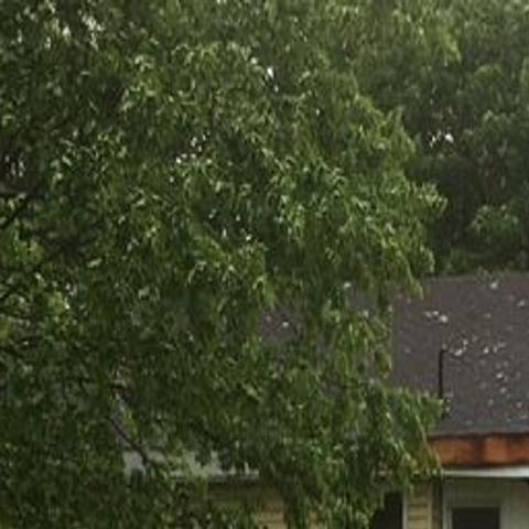 Storms Bring Down Trees Power Lines Local Poststar Com