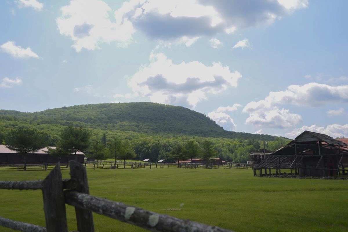 Preserving nature on French Mountain