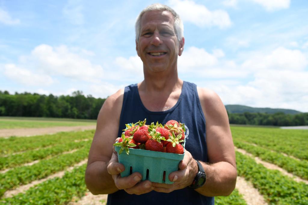 Strawberry Crop Arrives Delayed By Weather Local Poststar Com Fall ornamentals pumpkins, squash, and ornamentals are available in september and october at our farm market on route 29, across from the washington. strawberry crop arrives delayed by